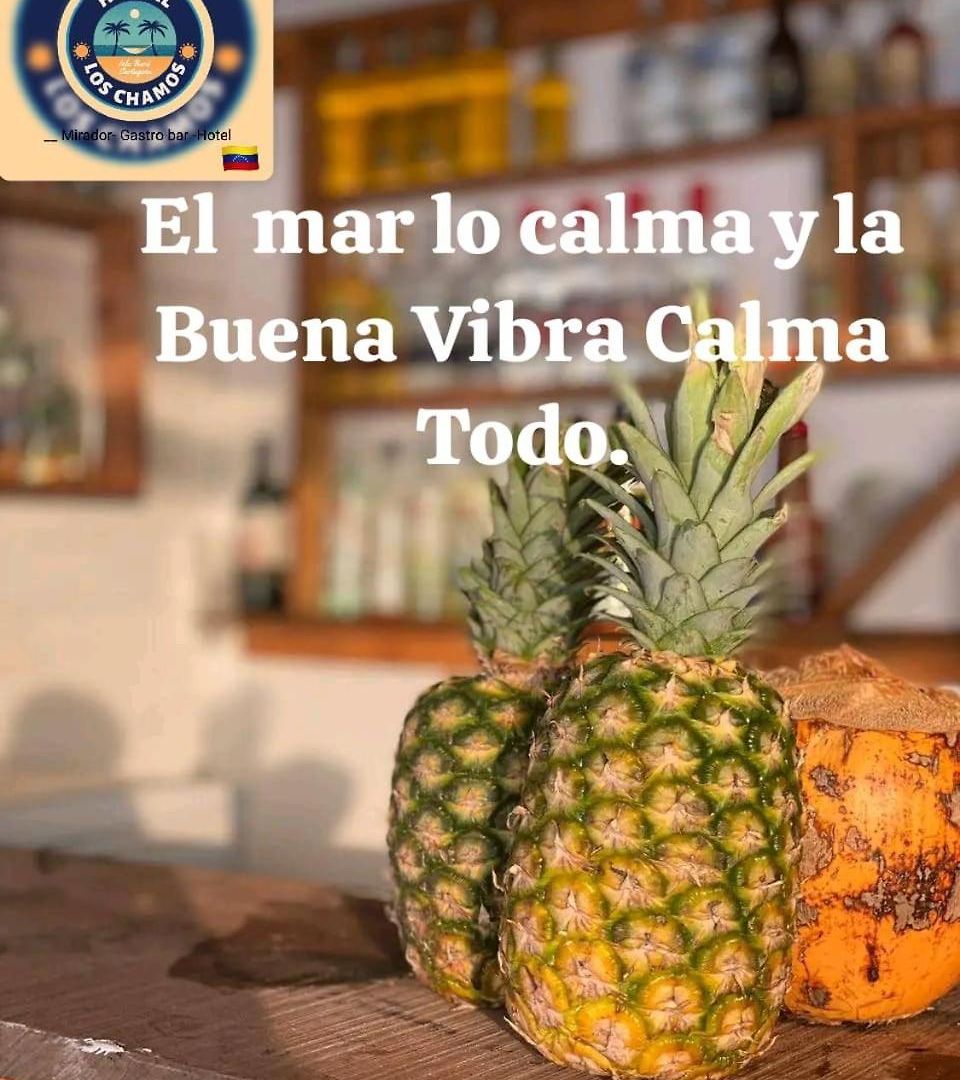 Chamo Aventura Cartagena