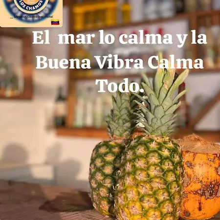 Chamo Aventura Cartagena